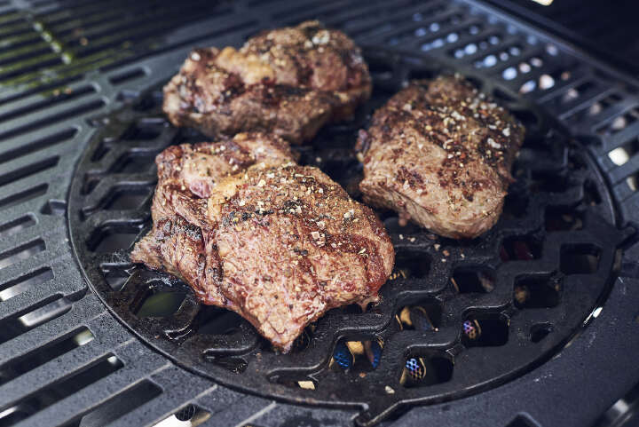 Enders SWITCH GRID™ Sear Grate Gussrost